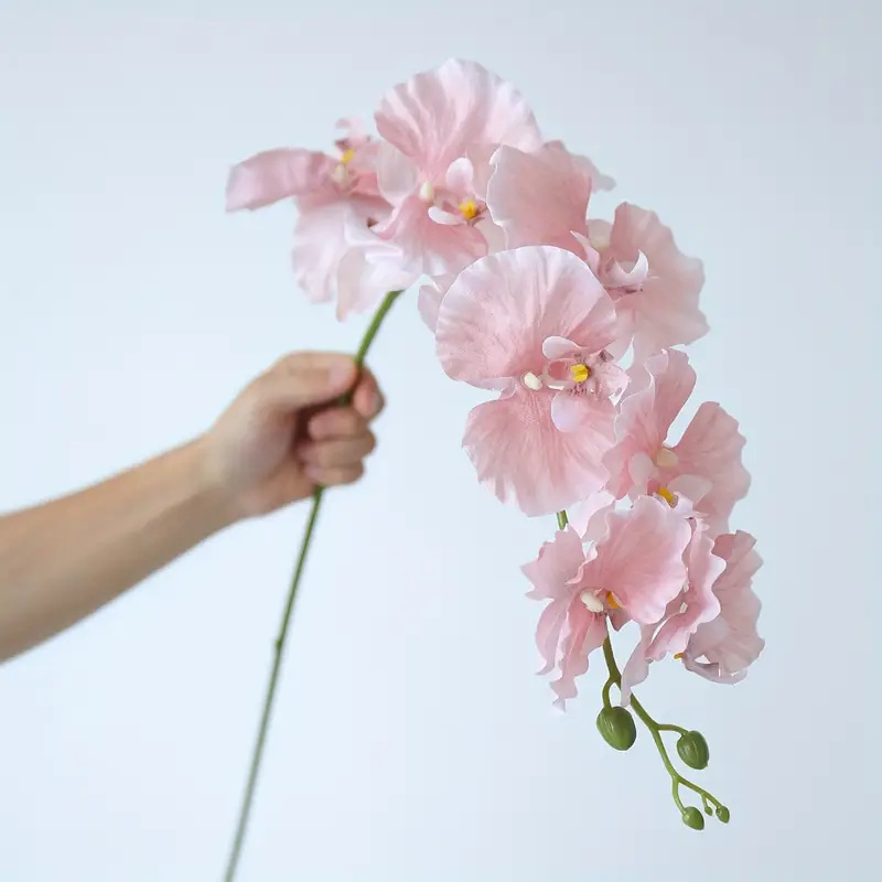 Long Branch Butterfly Orchids  – Christmas Wreath Fake recenzja i cena